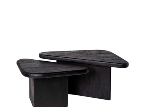 MESA CENTRO RISHI